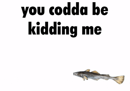 a picture of a fish with the words you codda be kidding me below it