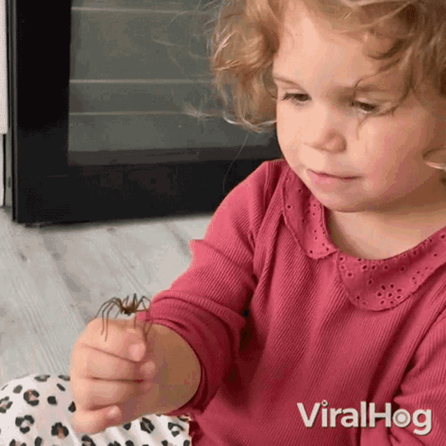 a little girl in a pink shirt is holding a spider in her hand with viralhog written in the corner