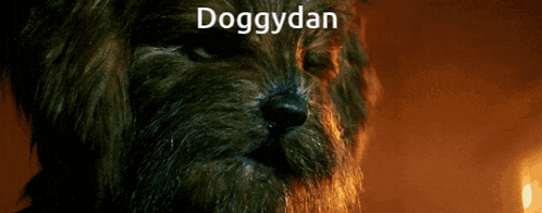 a close up of a dog with the word doggydan written on it