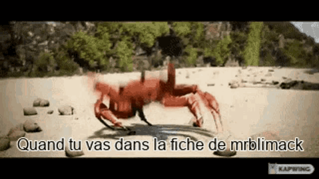 a crab is crawling on a beach with the words quand tu vas dans la fiche de mrblimack