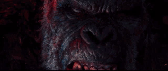 a close up of a gorilla 's face with a mouth open