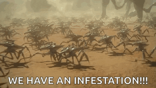 a large group of crabs are walking in the desert and the caption says we have an infestation !