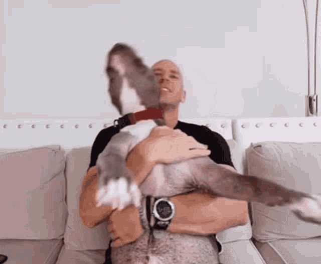 a bald man is holding a dog on a couch while wearing a watch