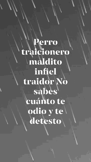 a black and white poster with the words perro traicionero maldito infiel
