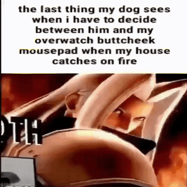 a meme that says the last thing my dog sees when i have to decide
