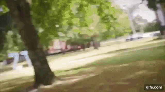 a blurry picture of a park with a tree in the foreground and the website gifs.com in the bottom right corner