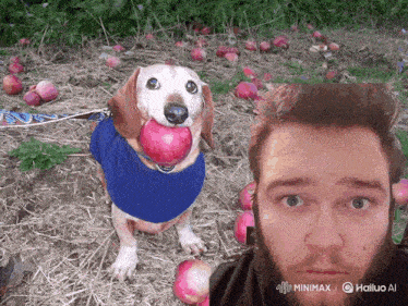 a dog with an apple in its mouth next to a man 's face