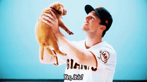 Buster Posey Puppy GIF - Buster Posey Puppy Yes It Is GIFs