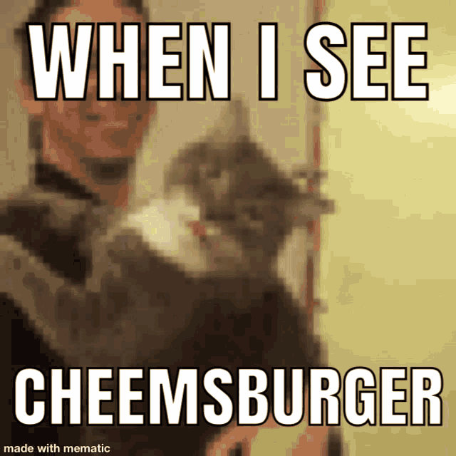 Food Cheeseburger GIF - Food Cheeseburger Hungry GIFs