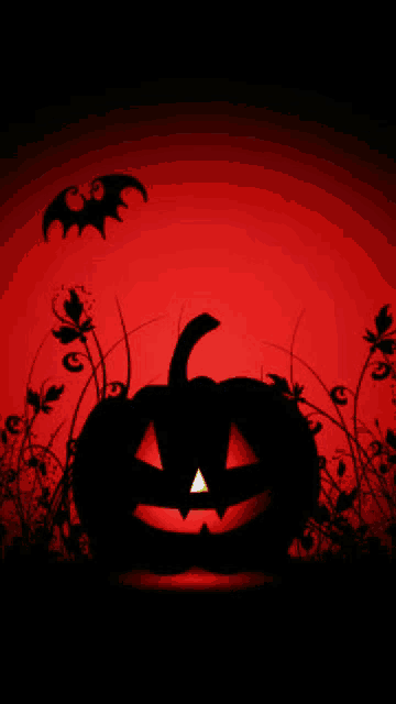 a halloween background with a pumpkin and bats in the background