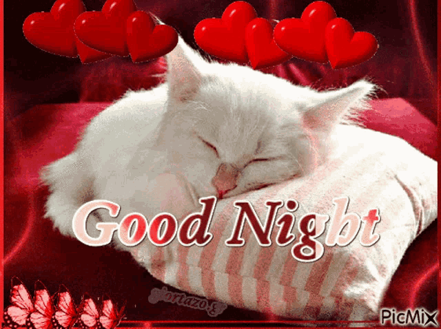 a white cat is sleeping on a pillow with the words " good night " written above it