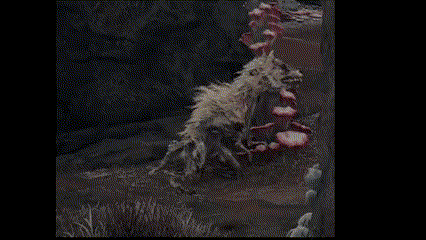 a close up of a sheep 's carcass with blood coming out of it .