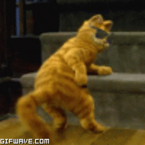 Garfield Dance GIF - Garfield Dance Spin Tail GIFs