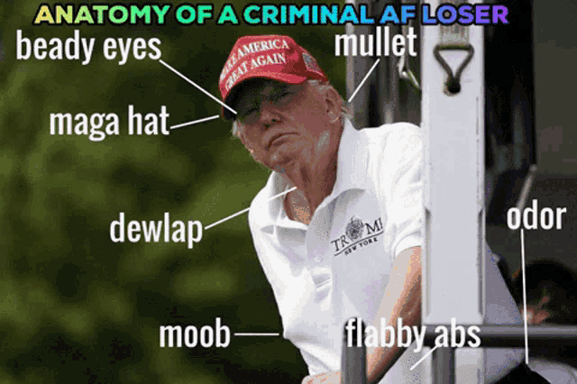 donald trump wearing a maga hat and a trump new york shirt