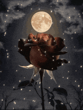 a rose with a full moon in the background is surrounded by stars