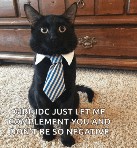 a black cat with a blue and white striped tie
