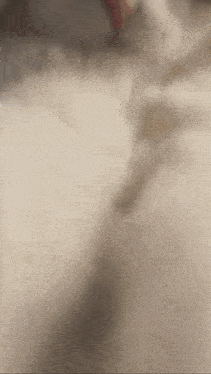 a close up of a cat 's face with a blurred background