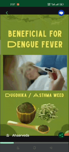 a book titled beneficial for dengue fever is on a phone screen