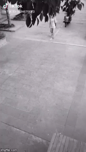 Action Thief GIF - Action Thief Steal GIFs