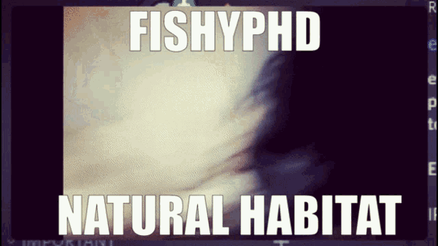 Fishy Fishyphd GIF - Fishy Fishyphd Roblox GIFs