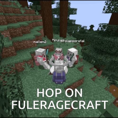 a screenshot of a video game with the words hop on fuleragecraft