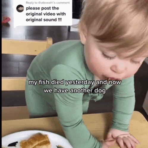 a baby is sitting at a table with a plate of food and a reply to thatsveah