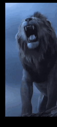 a lion with its mouth open and teeth showing
