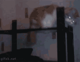 a gif from gifak.net shows a dark room