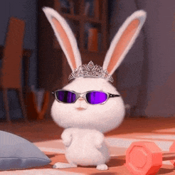 a cartoon bunny wearing sunglasses and a tiara