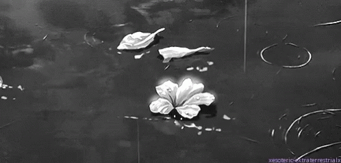 Flower Raindrops GIF - Flower Raindrops Anime GIFs