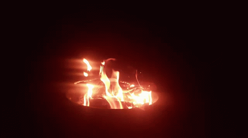 Awesome Fire GIF - Awesome Fire Camping GIFs