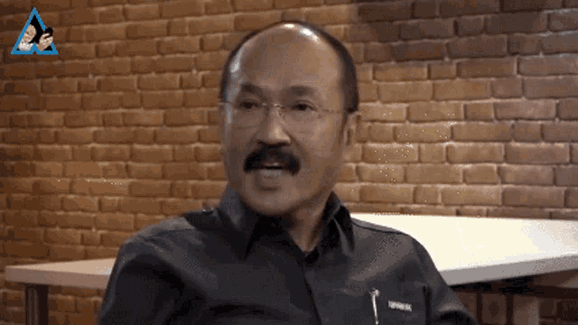 a bald man with glasses and a mustache is sitting in front of a brick wall .