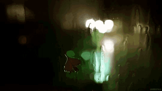 a blurry picture of a leaf on a window with a green light behind it