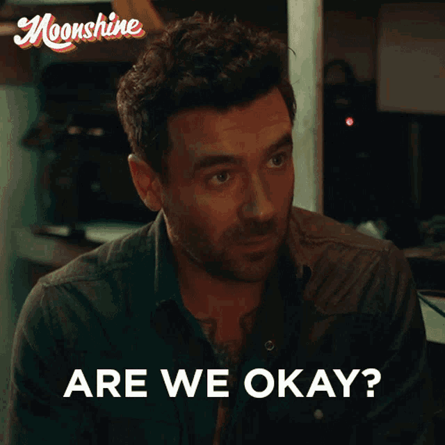 a man with a beard says " are we okay " in an advertisement for moonshine