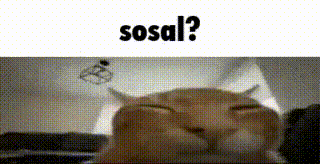 a close up of a cat 's face with the words sosal ? written above it .