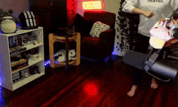 a person is standing in front of a microphone in a living room with a cat on a table
