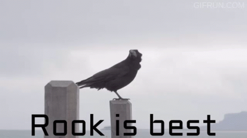Angry Rook Epic Bird GIF - Angry Rook Epic Bird Totally Not Raven Or Crow GIFs