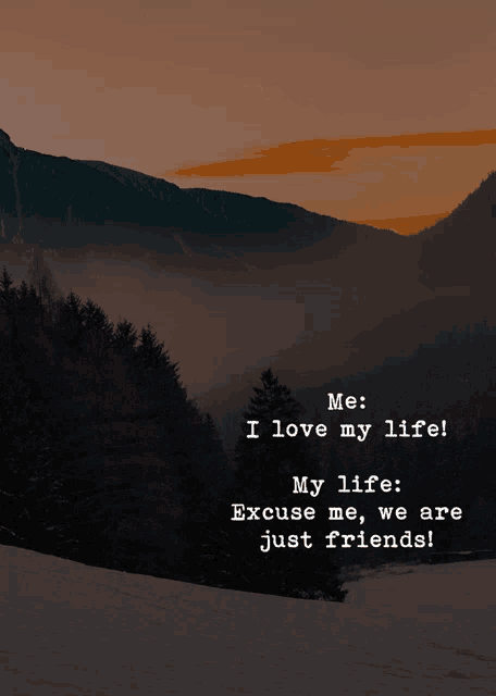 a quote that says " me : i love my life ! my life : excuse me , we are just friends "
