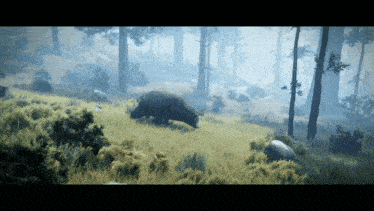 a bear standing in a grassy field in the middle of a forest