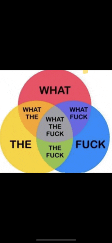 a pie chart showing what the fuck and what the fuck .