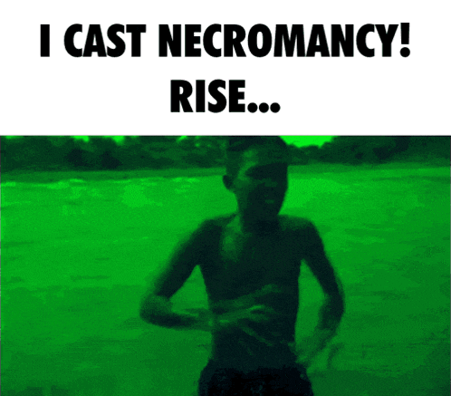 a picture of a boy with the words i cast necromancy rise above him