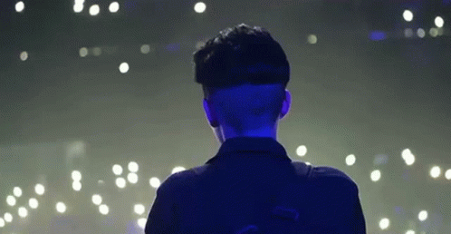 Crowed Fans GIF - Crowed Fans Stage View GIFs