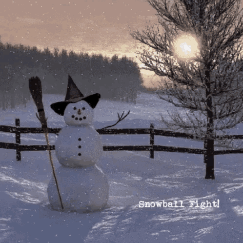 Snowblower Snowball GIF - Snowblower Snowball Fight GIFs