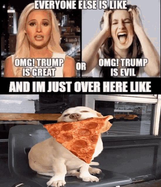 a dog holding a slice of pepperoni pizza with a caption that says " everyone else is like "