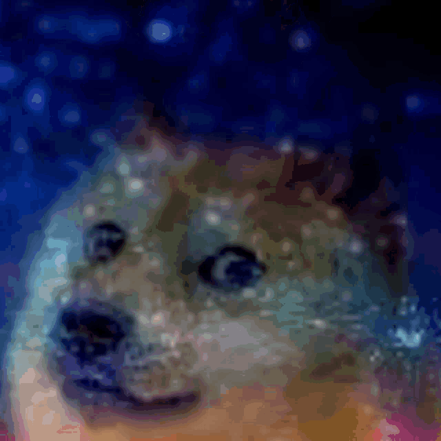 a blurry picture of a dog with a starry background