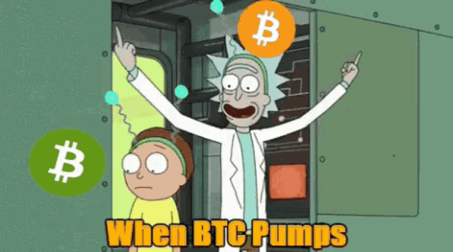 a cartoon of rick and morty with the words when btc pumps below them