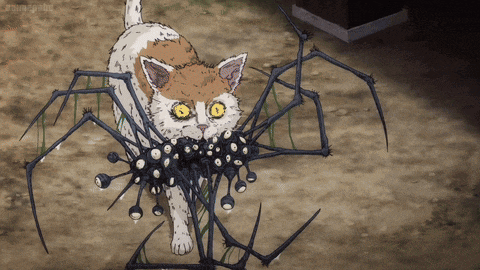 a cat is surrounded by a large spider with a watermark that says ' animegate '
