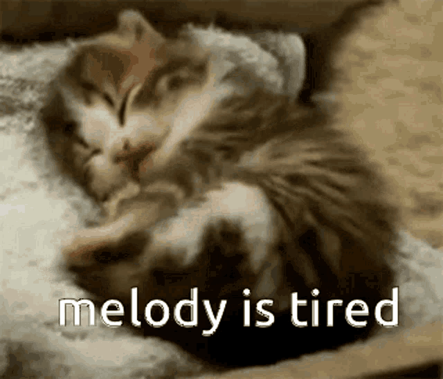 a kitten is sleeping next to another kitten with the words melody is tired written on the bottom .