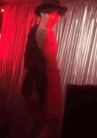 a man in a cowboy hat is standing in front of a red curtain .