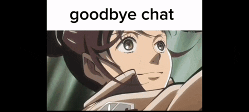 a picture of a girl with the words `` goodbye chat '' written on it .